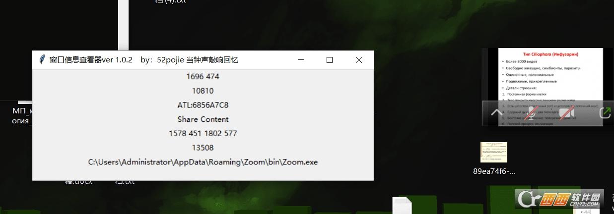 spss查看器窗口,获取句柄,ae查看器窗口.