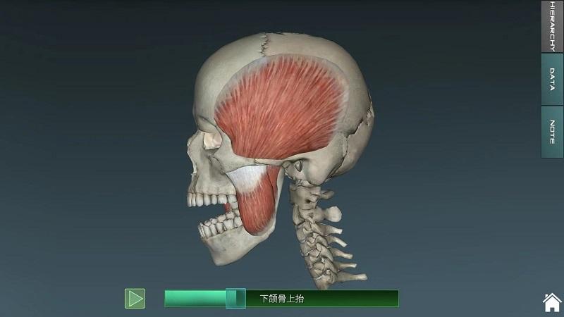 人体解剖app(又名为人体解剖学图集)下载,人体解剖,医疗app,养生app